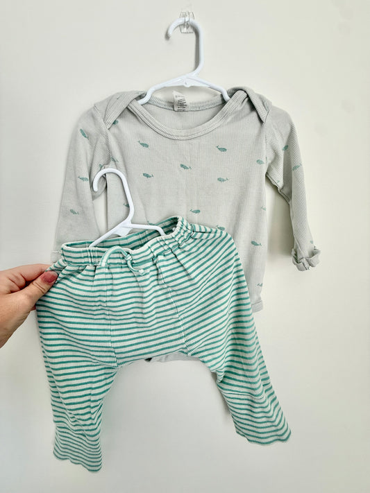 Kate Quinn Whale Set