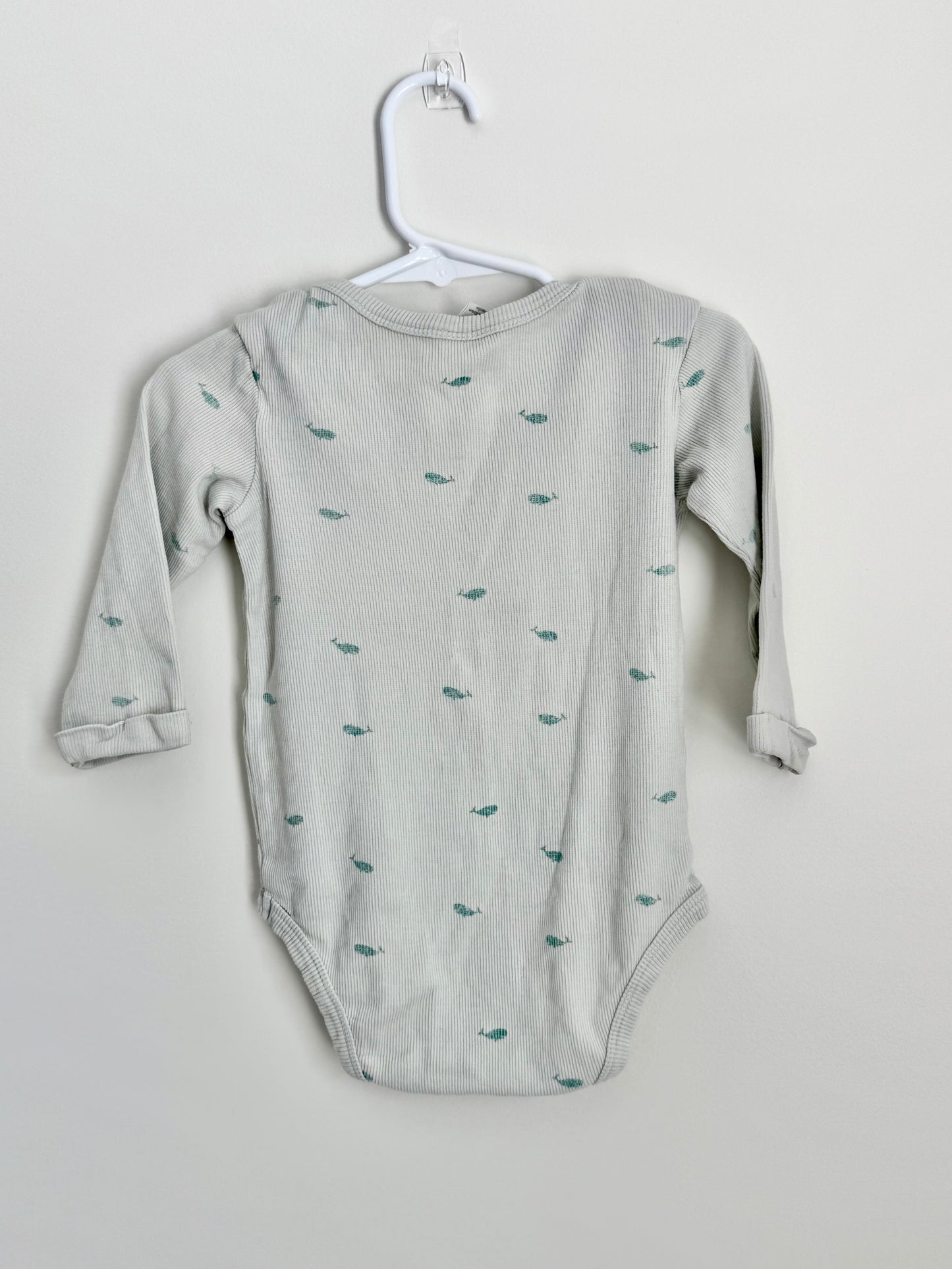 Kate Quinn Whale Set