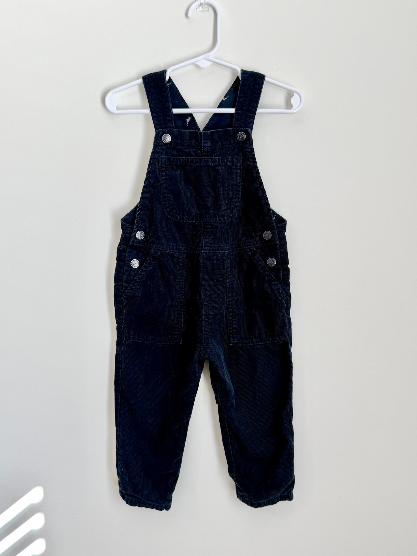 Zara Corduroy Velvet Overalls