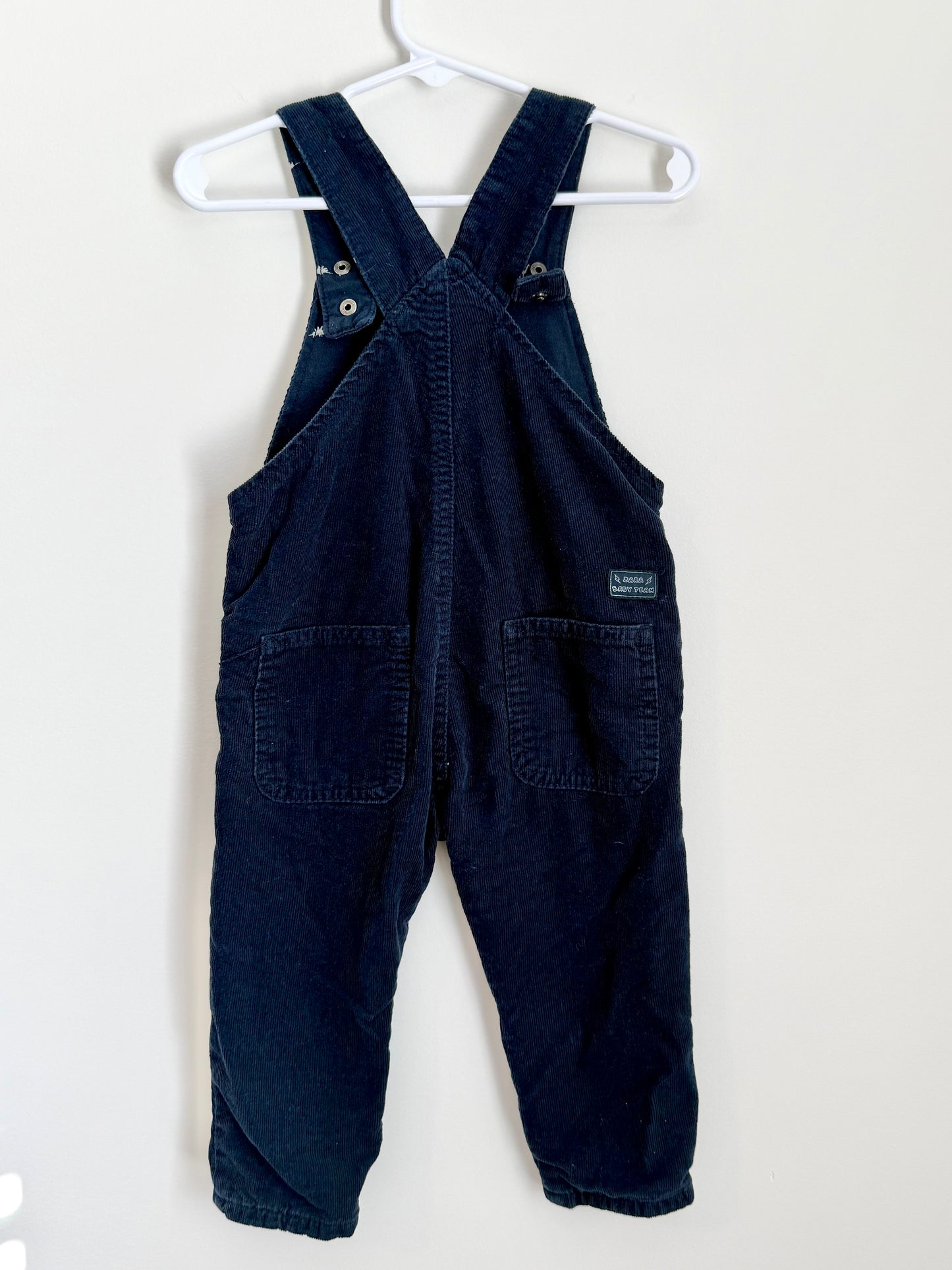 Zara Corduroy Velvet Overalls